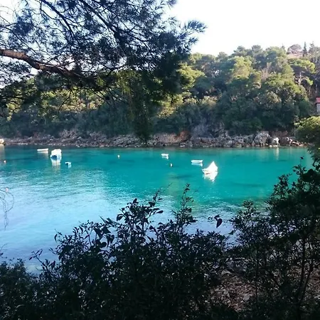 Island Oasis *